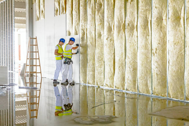 Types of Insulation We Offer in Rock Falls, IL